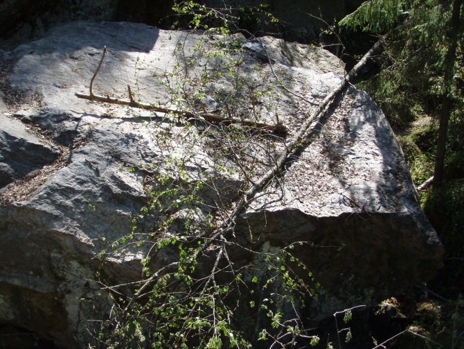 Спелеологи валят деревья на скалах Треугольного озера. (Альпинизм, треугольное)