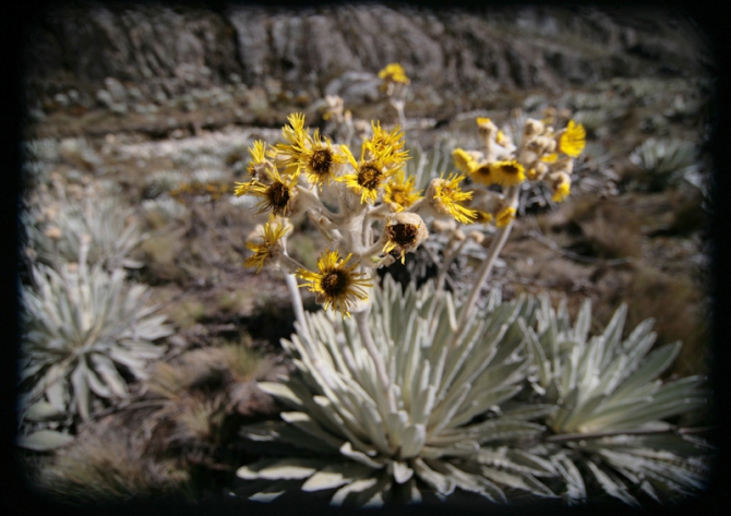 Анды налегке! (фоторепорт с трека в Sierra Neveda, Альпинизм, алекс кузмицкий, фоторепортаж, sierra nevada, венесуэла, треккинги)