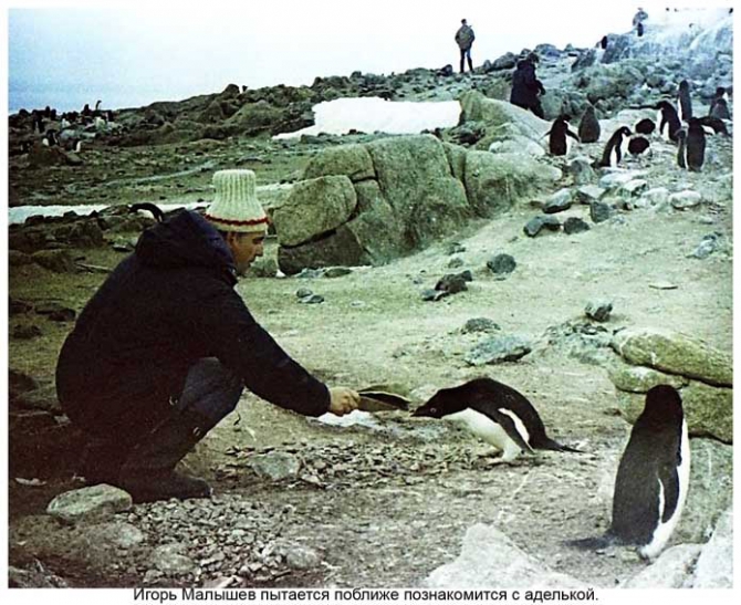 Антарктида - часть 4. Море Дейвиса станция Мирный. (Путешествия, станция ленинградская, "михаил сомов", антарктика, антарктическая экспедиция)