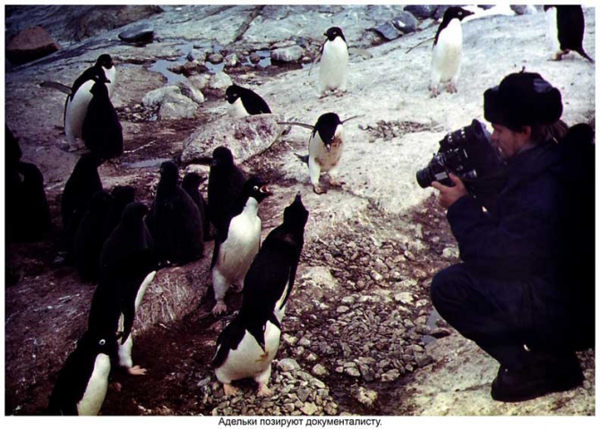 Антарктида - часть 4. Море Дейвиса станция Мирный. (Путешествия, станция ленинградская, "михаил сомов", антарктика, антарктическая экспедиция)
