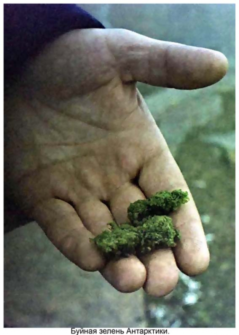 Антарктида - часть 4. Море Дейвиса станция Мирный. (Путешествия, станция ленинградская, "михаил сомов", антарктика, антарктическая экспедиция)