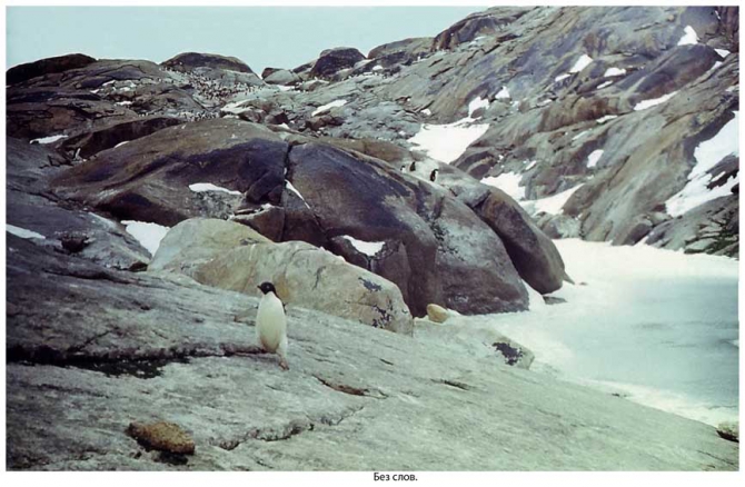 Антарктида - часть 4. Море Дейвиса станция Мирный. (Путешествия, станция ленинградская, "михаил сомов", антарктика, антарктическая экспедиция)