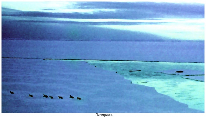 Антарктида - часть 4. Море Дейвиса станция Мирный. (Путешествия, станция ленинградская, "михаил сомов", антарктика, антарктическая экспедиция)