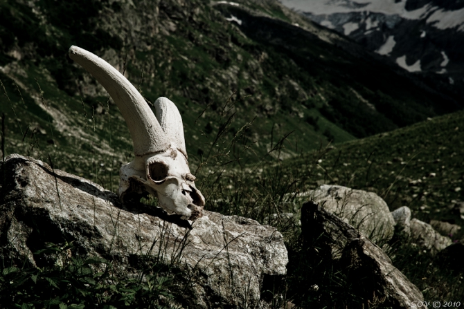 Узункол-2010. Фотовпечатления. (Альпинизм)