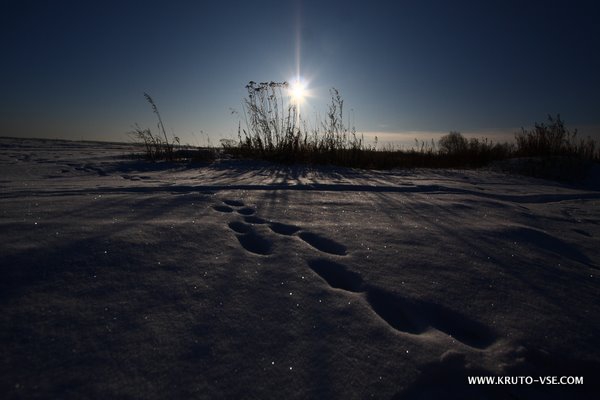 Вперед, в прошлое! Или дайв-экспедиция на 32 миллиона лет назад.... (Вода, зима, экстрим, дайвинг, тюмень, археология, курган, погружения, подледная нырялка, акулы)