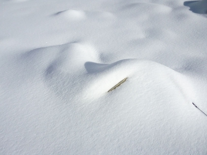 Приключения палатки Red Fox Hermit Fox (red-fox, палатка)