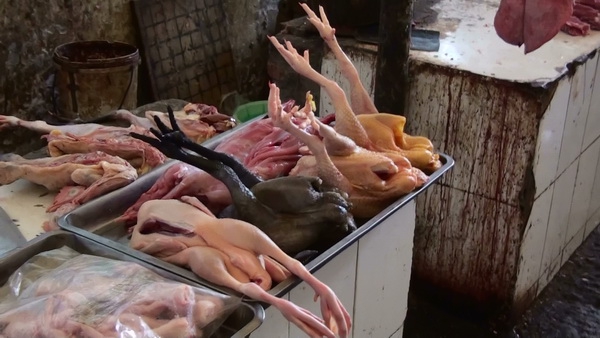 Как мы залезли на Selestal! Или еще одна поездка в Китай! (Альпинизм, siguniang, альпиниз)