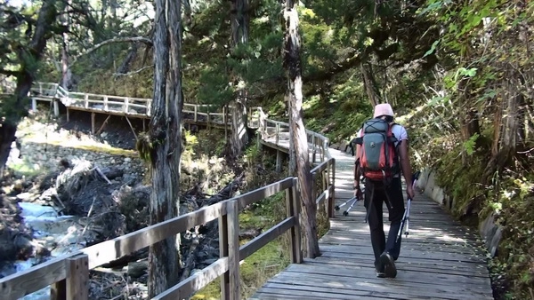Как мы залезли на Selestal! Или еще одна поездка в Китай! (Альпинизм, siguniang, альпиниз)