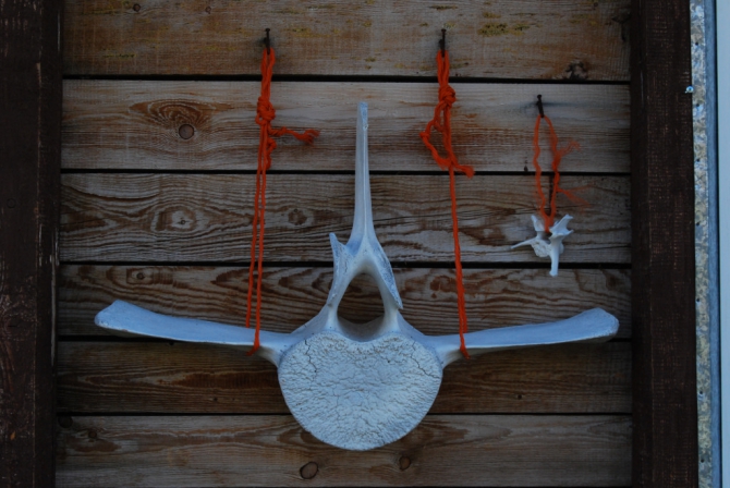 Камчатка. Родниковая. Закрытие сезона 2010. (Бэккантри/Фрирайд)