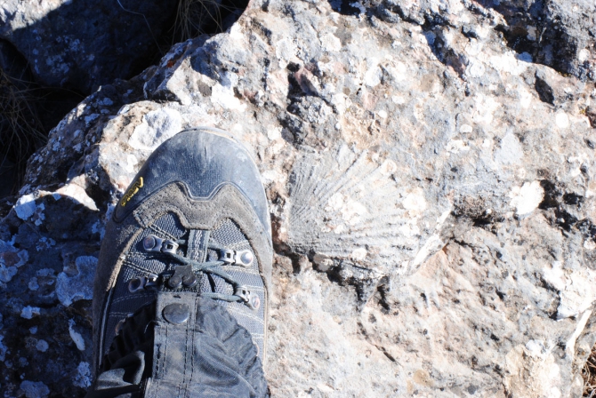 Две новые нитки на Ерыдаге. Февраль. 2011 (Альпинизм, первопрохождение, одесса, зима)