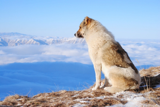 Две новые нитки на Ерыдаге. Февраль. 2011 (Альпинизм, первопрохождение, одесса, зима)
