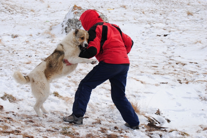 Две новые нитки на Ерыдаге. Февраль. 2011 (Альпинизм, первопрохождение, одесса, зима)