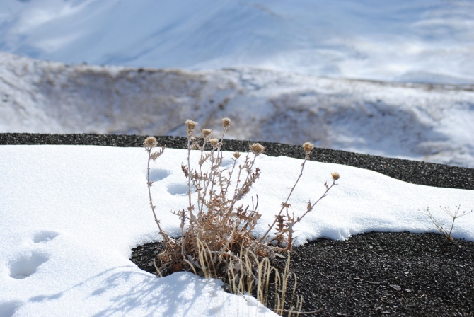 Две новые нитки на Ерыдаге. Февраль. 2011 (Альпинизм, первопрохождение, одесса, зима)