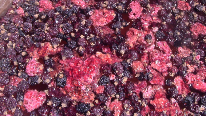 Готовим вкусно и полезно, или Что мы едим в походе? (Альпинизм, еда в походе, раскладка, автоклав, т/к глобус)