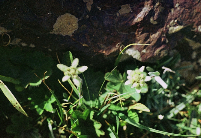 НОСТАЛЬГИЯ ПО ТЯНЬ-ШАНЮ. (Горный туризм, тянь-шань, терскей, маи)