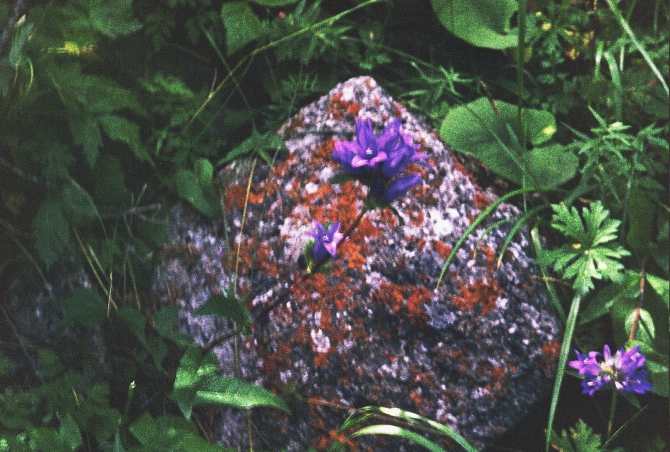 НОСТАЛЬГИЯ ПО ТЯНЬ-ШАНЮ. (Горный туризм, тянь-шань, терскей, маи)