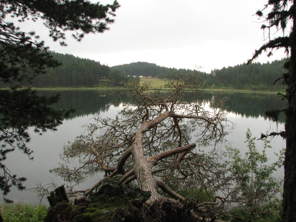 Поход неизвестной мне категории сложности по Северному Приэльбрусью летом 2011года (Альпинизм, северное приэльбрусье, эльбрус с севера, хурзук, балкбаши)