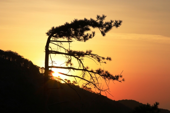 ГРАФИКА. Новый маршрут на в. Шаан-Кая от харьковчан. (Альпинизм, крым, малые горы, первопроход, полтавец)