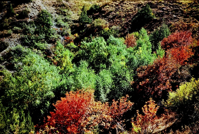 ЗОЛОТАЯ ОСЕНЬ НА ПАМИРЕ. (Горный туризм, маи)