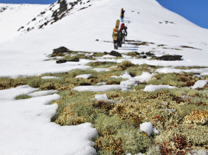 Беккантри-неделя Snow Sense в Хибинах (фоторепорт, Бэккантри/Фрирайд, хибины, кировск, snow sense team, цирк ганешина, лавинный кулуар, беккантри-лагерь)