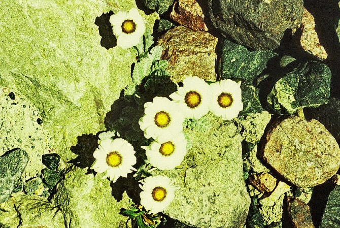 ИСПОЛНЕНИЕ ЖЕЛАНИЙ (Скайраннинг)