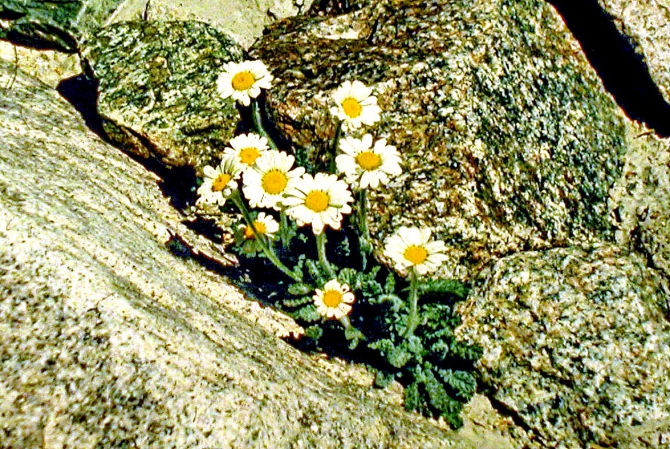 ИСПОЛНЕНИЕ ЖЕЛАНИЙ (Скайраннинг)