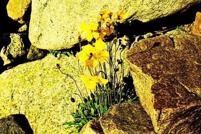 ИСПОЛНЕНИЕ ЖЕЛАНИЙ (Скайраннинг)