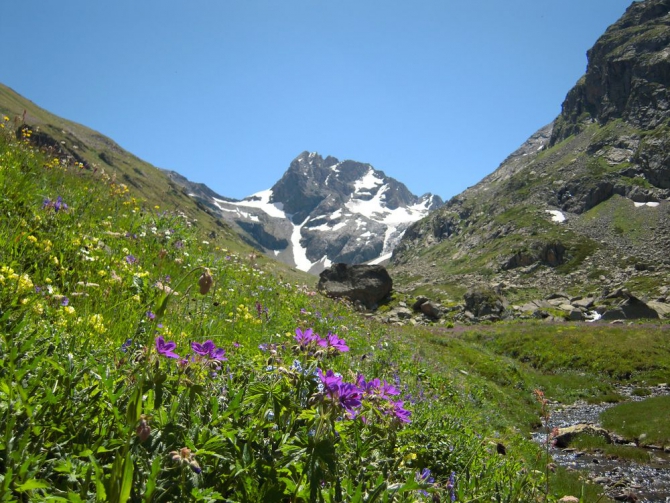 Результаты тестирования палатки от НПФ БАСК, модель SHARK FIN FLAР (Горный туризм)