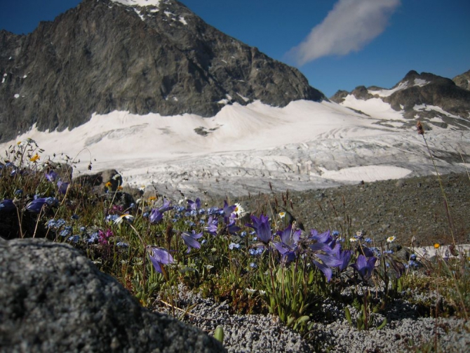 Результаты тестирования палатки от НПФ БАСК, модель SHARK FIN FLAР (Горный туризм)