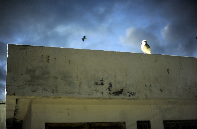 Третья поездка в Марокко - романтическая. (Путешествия)