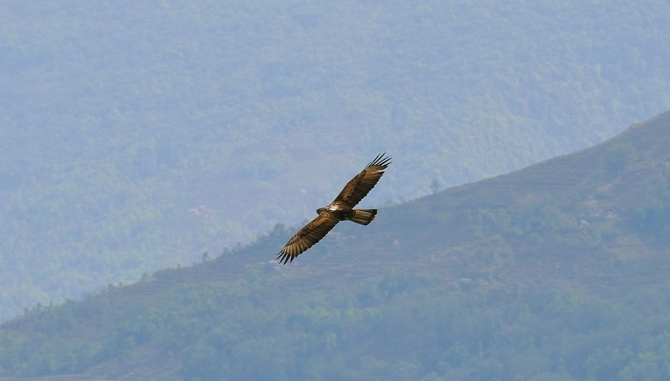 Гималаи (Непал, трек вокруг Аннапурны), отчёт апреля 2011 (Горный туризм, annapurna, namung la, mimdu-danda, mount, himalaya, горы, мимду-данда, аннапурна)