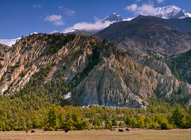 Гималаи (Непал, трек вокруг Аннапурны), отчёт апреля 2011 (Горный туризм, annapurna, namung la, mimdu-danda, mount, himalaya, горы, мимду-данда, аннапурна)