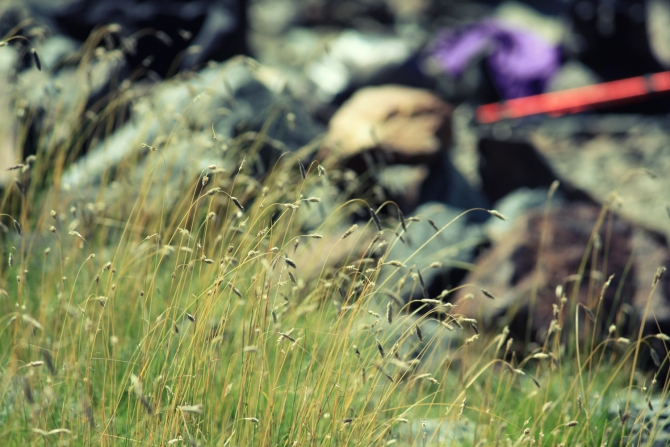 Домбай-Ульген, восхождение по Зап. ребру, 5Б (Альпинизм, западный кавказ, западное ребро)