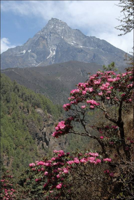 Дневник восхождения в Непале 2007 (Альпинизм, альпинизм, катманду, айленд-пик)