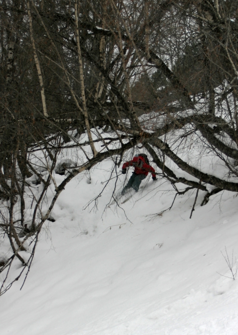 Чегет. Фрирайдовый ноябрь 2007 (Бэккантри/Фрирайд, британ, дашка, фото)