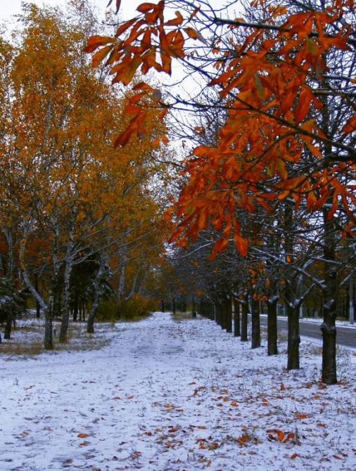 Уже скучаем по зиме (зима, осень)