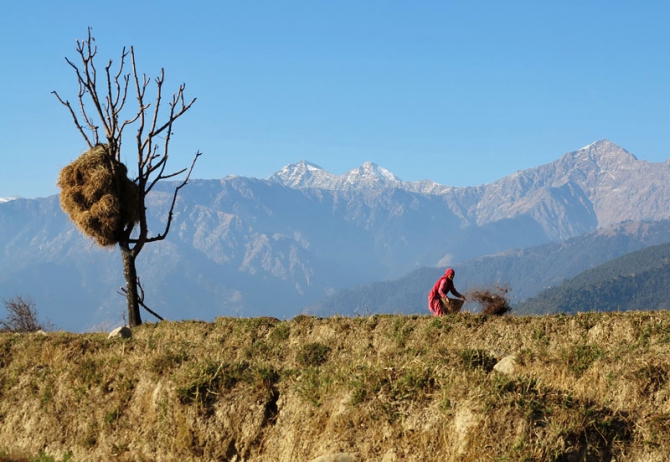 Маршрутные полеты в Гималаях, очень 2012 (фоторепорт из Бира, Путешествия, химачал-прадеш, парапланеризм, параплан, гималаи, индия, горы)