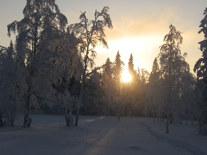 С наступающим всех 2013 годом! Новогодняя сказка Южного Урала.