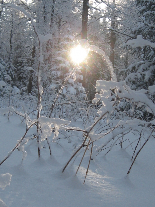 С наступающим всех 2013 годом! Новогодняя сказка Южного Урала.