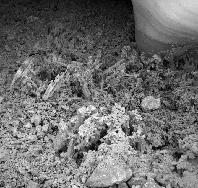 Эльбрусский экспресс, или экспедиция мечты (Путешествия, спидфлаинг, полет, кавказ)