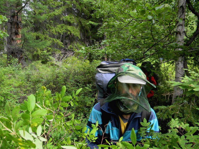 Транскамчатский матрас – 2013. Часть I – Горная (Горный туризм, поход, камчатка)