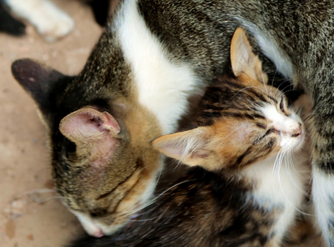 ЗаМарочка с штативом и дочкой..