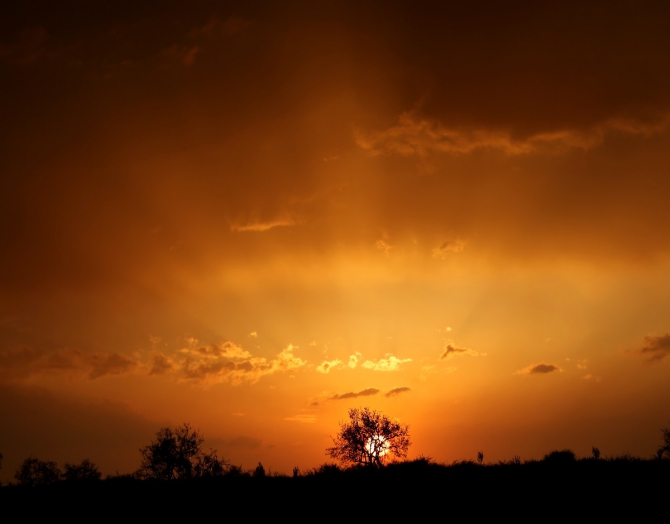 ЗаМарочка с штативом и дочкой..