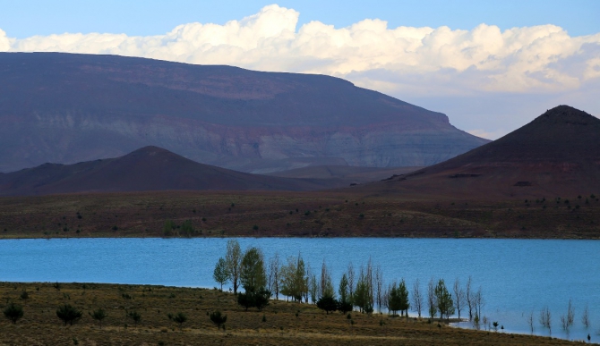 ЗаМарочка с штативом и дочкой..
