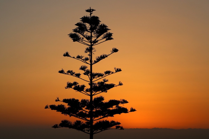 ЗаМарочка с штативом и дочкой..