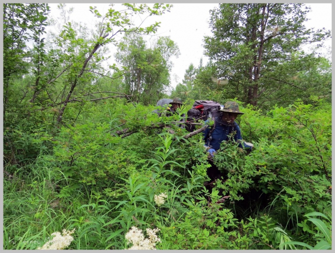 «Транскамчатский Матрас 2013» или «Как Вы яхту назовете…» (Горный туризм, камчатка, ключевская сопка, камень, поход, моренко)