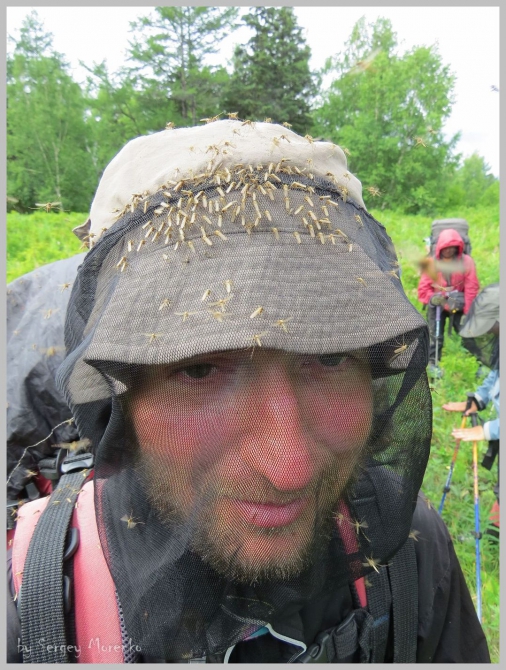 «Транскамчатский Матрас 2013» или «Как Вы яхту назовете…» (Горный туризм, камчатка, ключевская сопка, камень, поход, моренко)