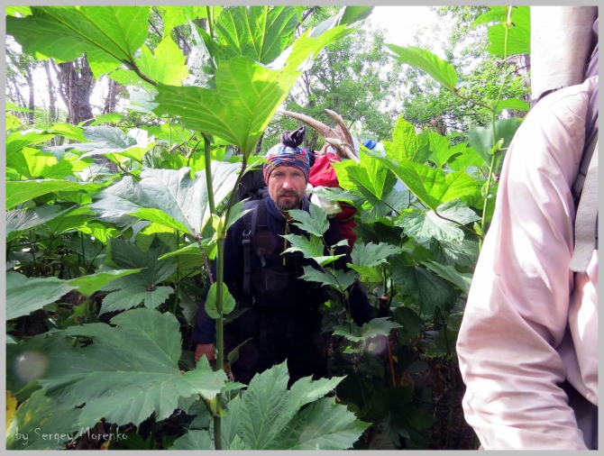 «Транскамчатский Матрас 2013» или «Как Вы яхту назовете…» (Горный туризм, камчатка, ключевская сопка, камень, поход, моренко)