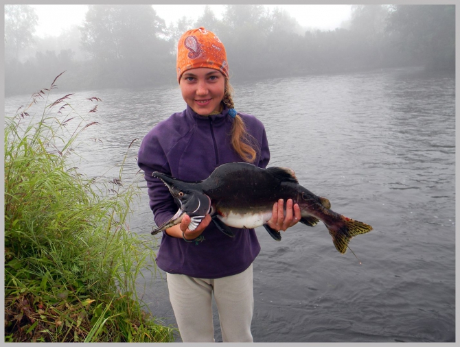 «Транскамчатский Матрас 2013» или «Как Вы яхту назовете…» (Горный туризм, камчатка, ключевская сопка, камень, поход, моренко)