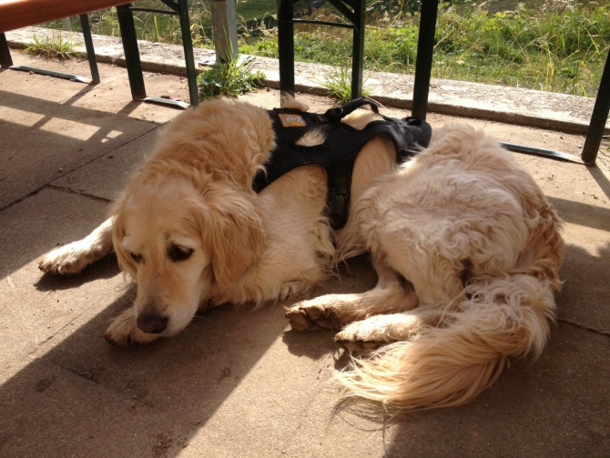 Отчет Семеновой Натальи о гонке GORE-TEX® Transalpine-Run 2013. Часть 1 (Горный туризм, skyrinning, приключенческая гонка)